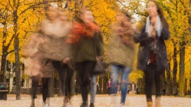 Ser feliz es la clave - Sociedad, Investigación