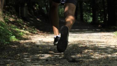 Health effects of physical activity - Salud, Investigación