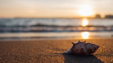 Cómo disfrutar del verano sin sustos - Sociedad, Salud